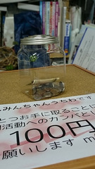 20150723_195112.jpg