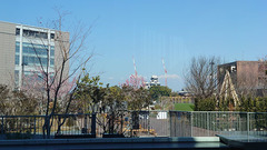 DSC_0280.jpg