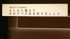 DSC_8902.JPG